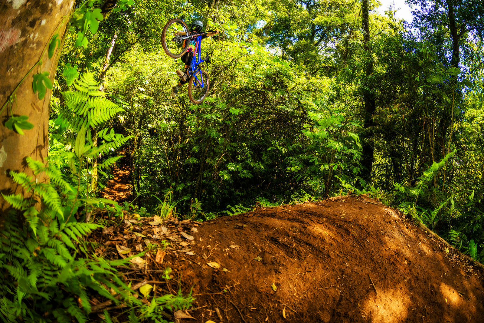 Joel Anderson Bali Bike Park Melon Shoot